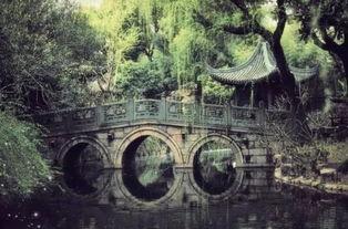 三千相思无尽处,无尽情感之旅