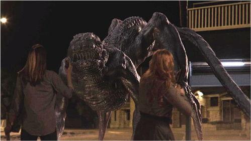 尘行者,探寻尘埃中的生命奥秘  第2张